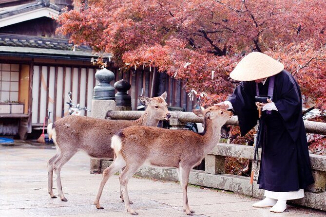 3 Days Private Osaka Kyoto and Nara Tour With English Driver - Private Osaka, Nara, Kyoto: Why This Works as a 3-Day Plan