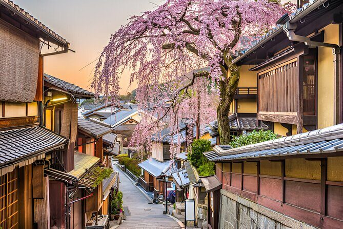 3 Days Private Osaka Kyoto and Nara Tour With English Driver - The Driver Factor: Why English Support Changes Your Day