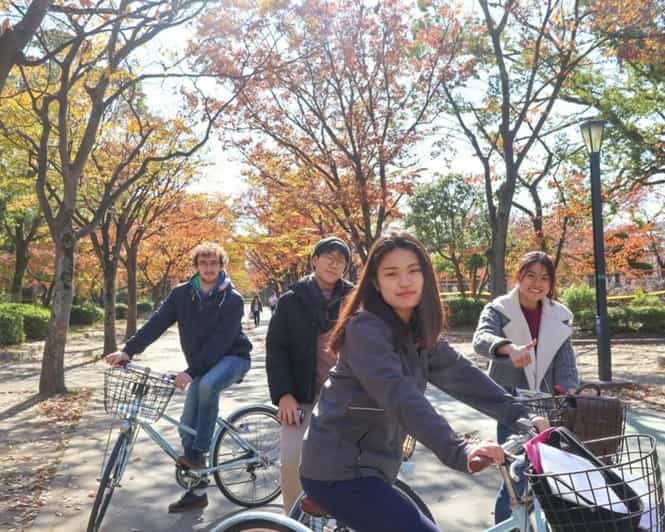 5-Hour Osaka Highlights Bike Tour with Lunch - Key things I’d watch for before you book