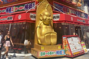 Allure of Osaka Walking Day Tour with a local guide - Abeno Harukas Area: The Quick Way to Get Big-City Perspective