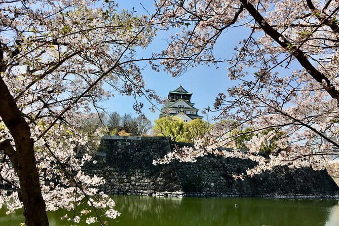 Allure of Osaka Walking Day Tour with a local guide - Timing That Works: Four Hours Plus Optional Extensions