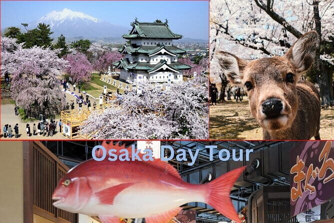 Amanohashidate & Ine Boathouse Full-Day Tour from Kyoto or Osaka - Choreography matters: how the group day keeps you from wasting time