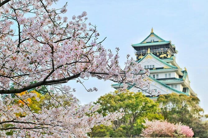 Amanohashidate & Ine Boathouse Full-Day Tour from Kyoto or Osaka - Who this tour fits best (and who should look elsewhere)