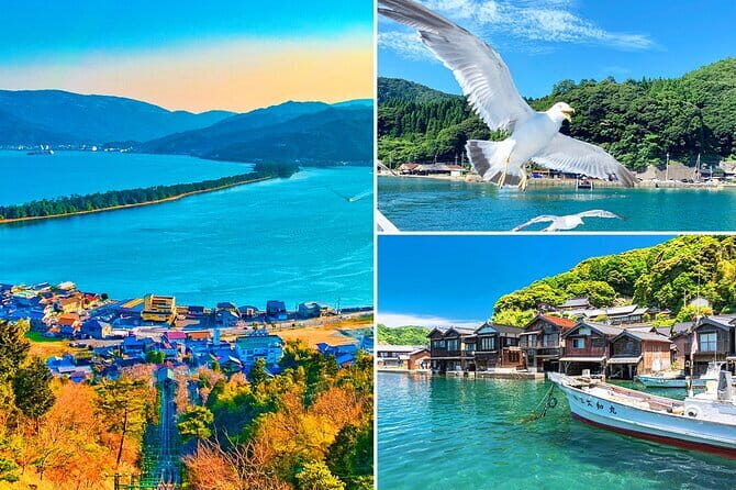 Amanohashidate & Ine Boathouse Full-Day Tour from Kyoto or Osaka - Amanohashidate sandbar and the ropeway ticket decision