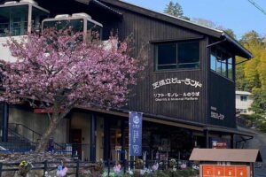 Amanohashidate & Ine Funaya Sightseeing Full Day Trip from Kyoto - Ine Fishing Village: the Funaya boathouses that you’ll keep spotting in your photos