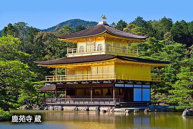 Ancient Capital Tour: Kyoto and Nara Highlights from Kyoto/Osaka - Nara Park deer time: senbei strategy and etiquette