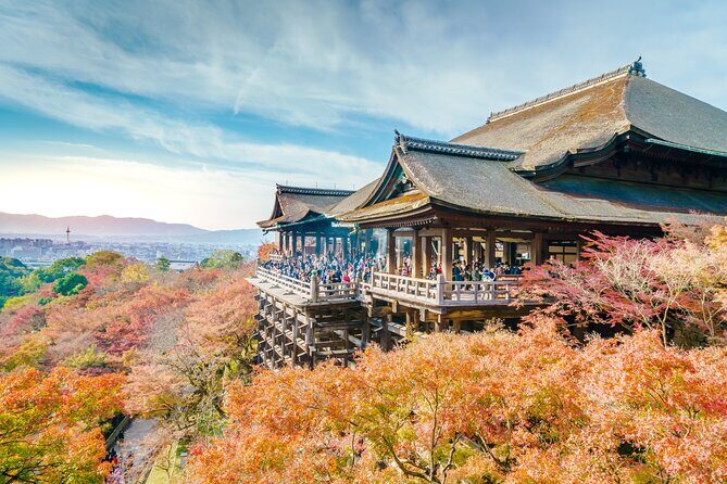 Best of Kyoto and Nara Highlights Day Tour from Osaka (7~9 spots) - Why this Osaka-to-Kyoto-and-Nara day tour makes sense