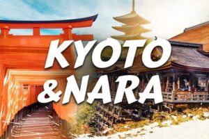 Best of Kyoto and Nara Highlights Day Tour from Osaka (7~9 spots) - Two route options, and which days you’ll take each