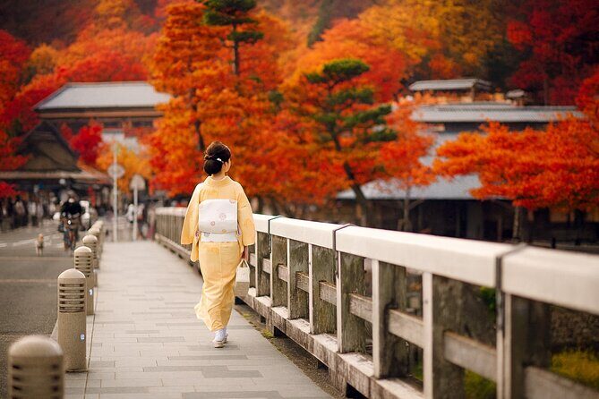 Best of Kyoto and Nara Highlights Day Tour from Osaka (7~9 spots) - Kasuga Grand Shrine and Nara Park: lanterns and deer on the same first leg