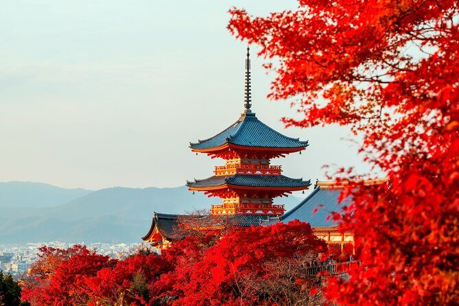 Best of Kyoto and Nara Highlights Day Tour from Osaka (7~9 spots) - Todai-ji and the Great Buddha: awe, with a dose of time reality