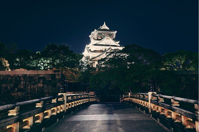 Best Private Osaka Walking Tour With A Guide 100% Personalised - Meet-Up and Pickup: Starting From Your Neighborhood