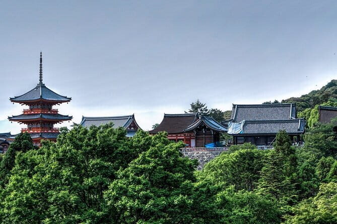 Discover Himeji, Kobe and Nara from Osaka - Meet-up at Osaka Mode Gakuen: start on time, travel with less guesswork