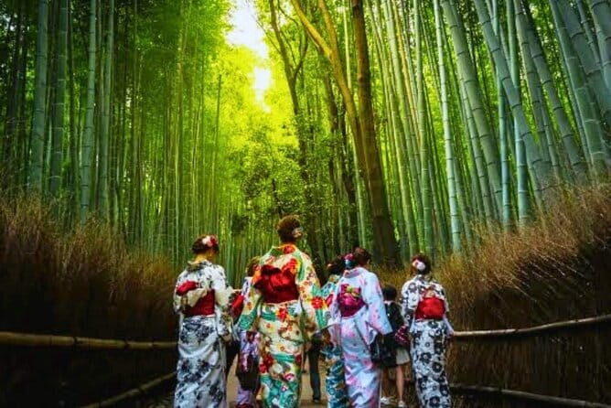 Discover Himeji, Kobe and Nara from Osaka - Nara Park and Tōdai-ji: deer photos plus a key optional ticket