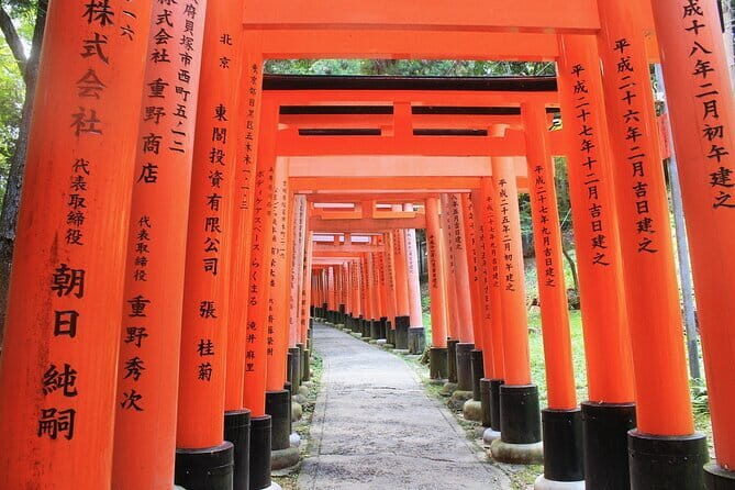 Discover Himeji, Kobe and Nara from Osaka - Practical planning: tickets, shoes, and a calm approach to crowds