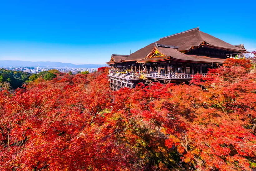 From Kyoto/Osaka: Kyoto Top Highlights 1-Day Guided Bus Tour - Route Order Shift After April 1: Plan for a Different Sequence