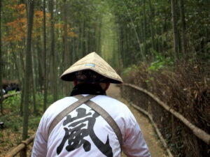 From Kyoto/Osaka: Kyoto Top Highlights 1-Day Guided Bus Tour - Fushimi Inari Taisha: Walking the Torii Gates Without Rushing