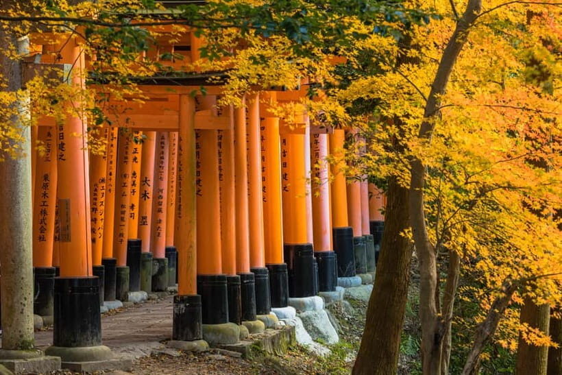From Kyoto/Osaka: Kyoto Top Highlights 1-Day Guided Bus Tour - Kinkaku-ji Golden Pavilion: Gold Leaf Glimmer and Garden Calm