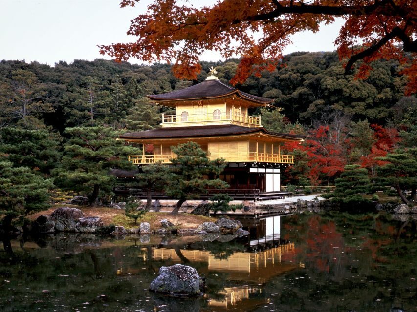 From Kyoto/Osaka: Kyoto Top Highlights 1-Day Guided Bus Tour - English-Speaking Guides: More Than Pointing and Timing