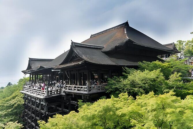 From Osaka: 10-hour Private Customizable Tour to Kyoto - How the private car and optional English guide change the experience