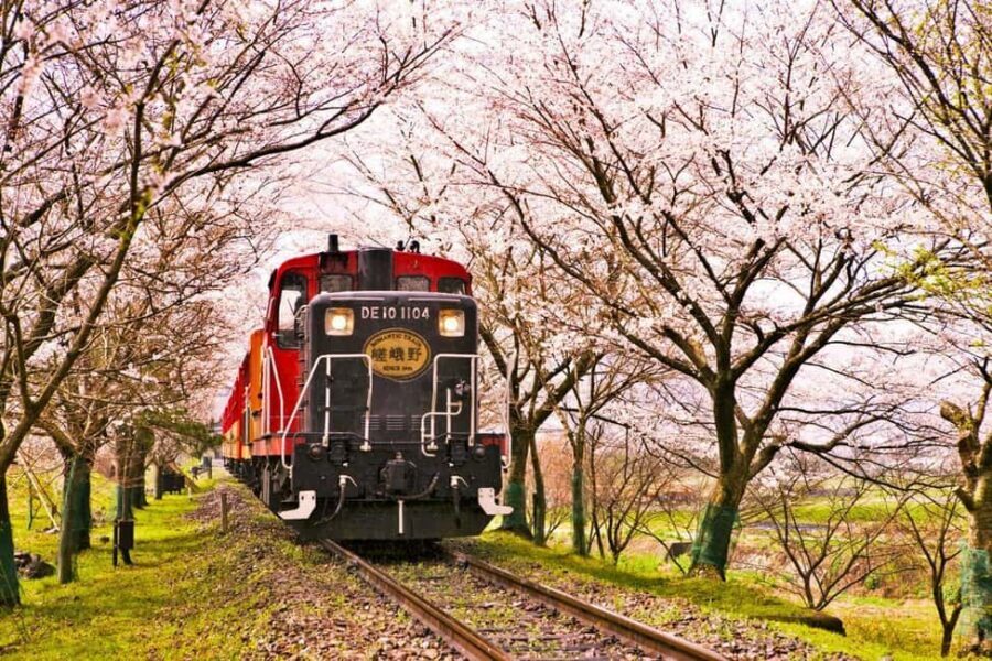 From Osaka: Kyoto, Nara, Fushimi Inari & Arashiyama Day Tour - Meeting at Nipponbashi: The One Detail That Can Ruin Your Morning
