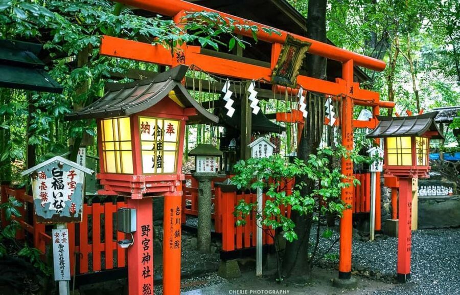 From Osaka: Kyoto, Nara, Fushimi Inari & Arashiyama Day Tour - Fushimi Inari Taisha: The Thousand Torii Gates Walk Is the Main Show