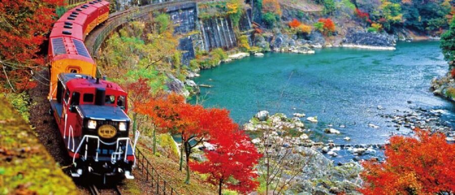 From Osaka: Kyoto, Nara, Fushimi Inari & Arashiyama Day Tour - Hot Spring Free Time and the Kimono Forest Light Poles