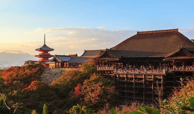 From Osaka: Nara Deer & Kyoto Kiyomizudera Sightseeing Tour - Fushimi Inari Taisha: One Hour Through the Senbon Torii Gates
