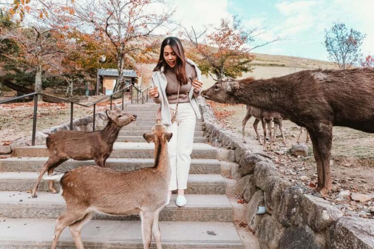 From Osaka: Nara, Kiyomizu-dera & Fushimi Inari Trip - Nara Park: deer time, first impressions, and what to watch for