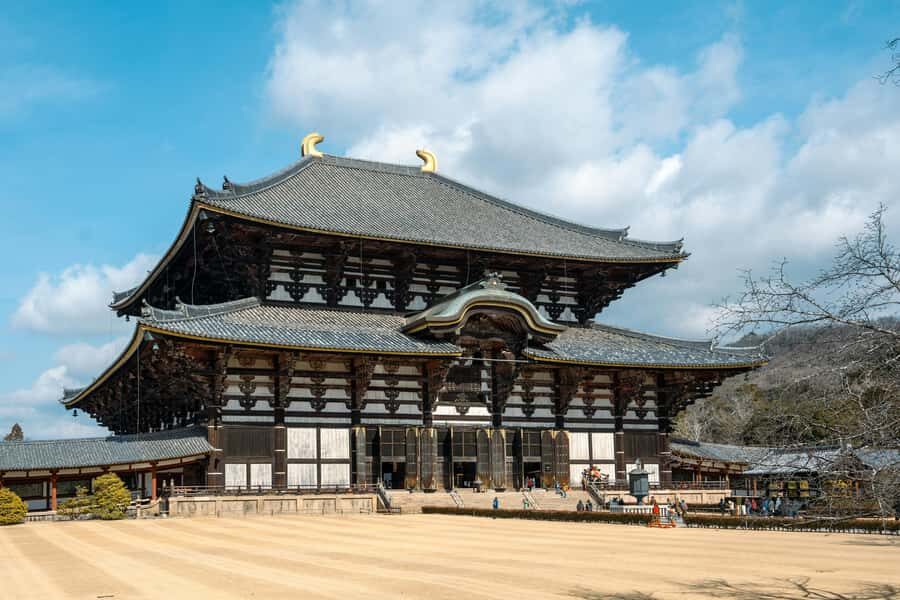From Osaka: Nara, Kiyomizu-dera & Fushimi Inari Trip - Who this Nara–Kyoto–Fushimi Inari trip is best for