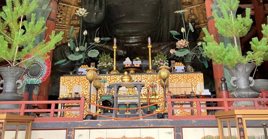 From Osaka: Nara Private Tour with Meet-Up at Your Hotel - Key things that make this Nara day work so well