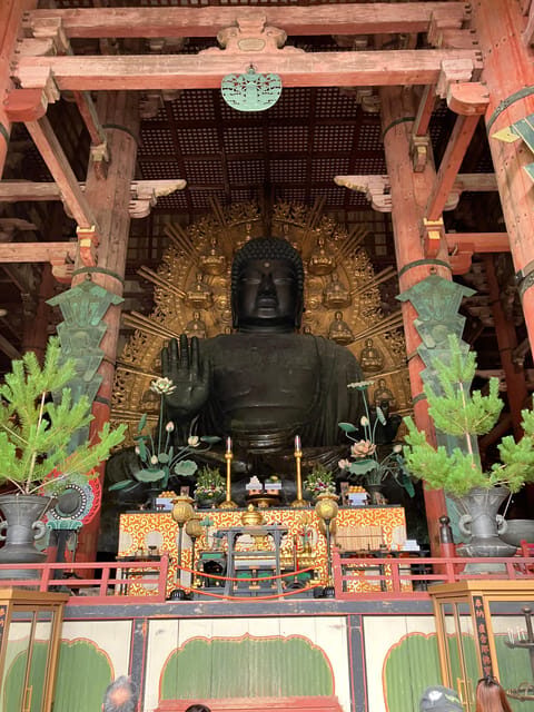From Osaka: Nara Private Tour with Meet-Up at Your Hotel - Nara, First Capital Energy—Without the Headache