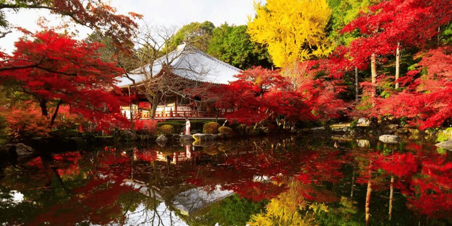 From Osaka: Private Customized Day Tour to Kyoto - Private Kyoto from Osaka: what this day really feels like