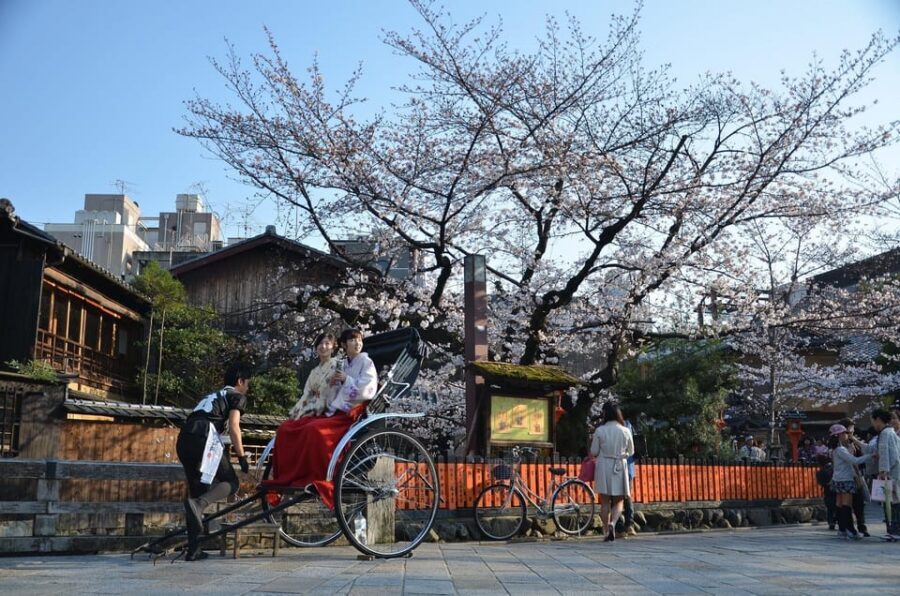 From Osaka: Private Customized Day Tour to Kyoto - Stop by stop: what you’ll do and what to watch for