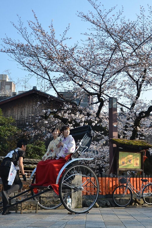 From Osaka: Private Customized Day Tour to Kyoto - Suitability: who this tour matches best