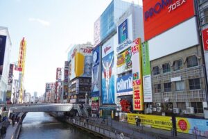 Full Day Guided Tour in Osaka by Van - Osaka Castle: what you get besides the postcard view