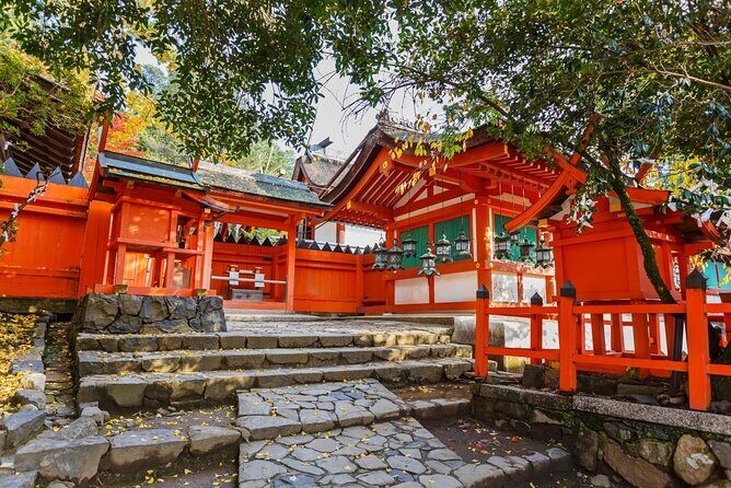 Full Day Guided Tour to Nara from Osaka by Van - Key highlights worth planning around