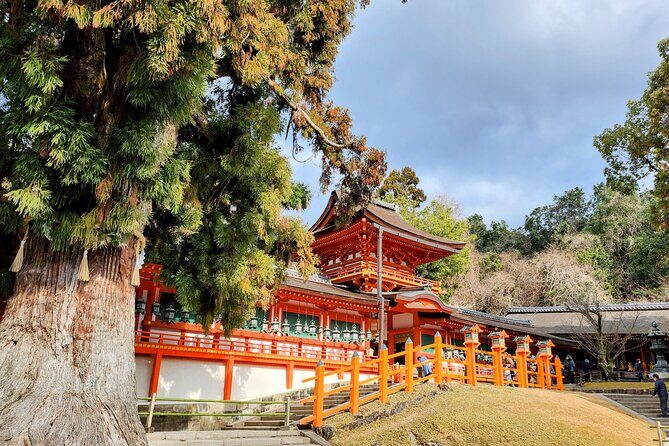 Full Day Guided Tour to Nara from Osaka by Van - Osaka to Nara by van: comfort first, time saved