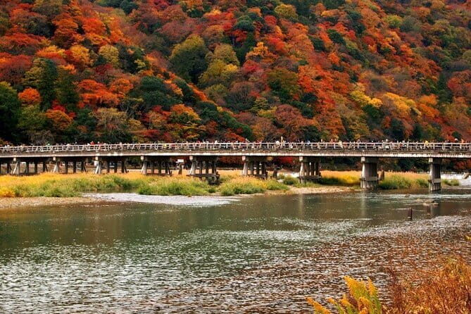 Full Day Tour of Kyoto with Private Transportation - Togetsukyo Bridge and Katsura River: Bamboo Meets the River View