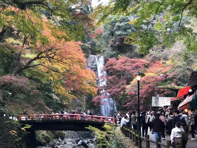 Get to know Minoo from Osaka. Katsuoji Temple, Ryuanji Waterfall and Ryuanji Temple - Key highlights worth your time