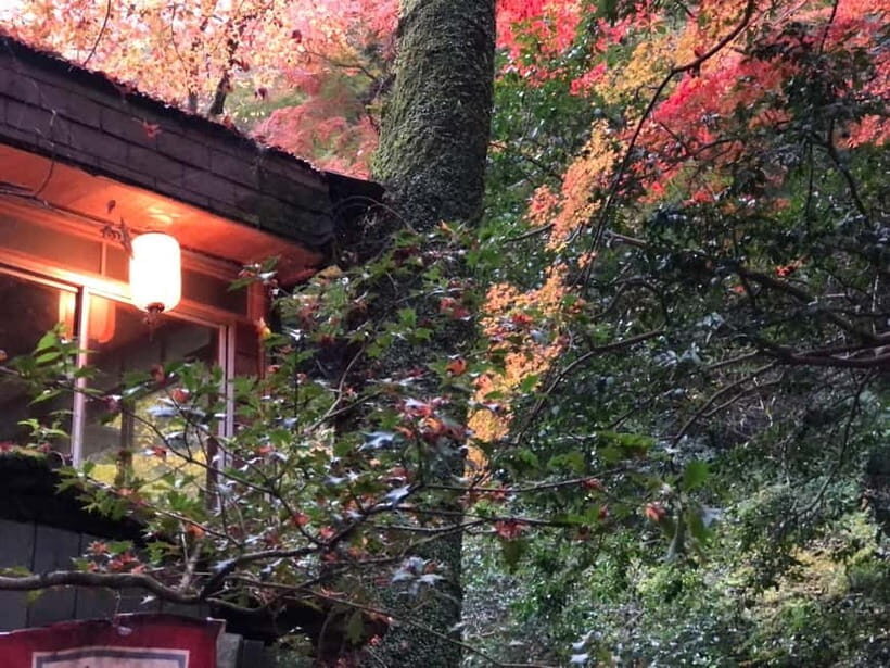 Get to know Minoo from Osaka. Katsuoji Temple, Ryuanji Waterfall and Ryuanji Temple - Small-group atmosphere: why it changes the experience