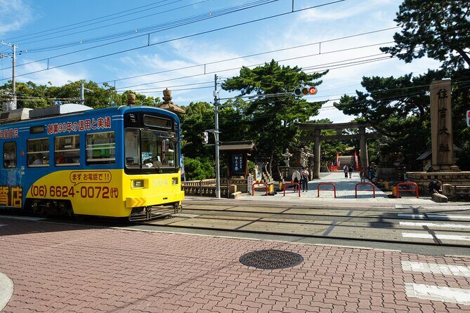 Half day Osaka Bay Area Cycling with E-Assist Bicycle Tour - Key highlights before you go