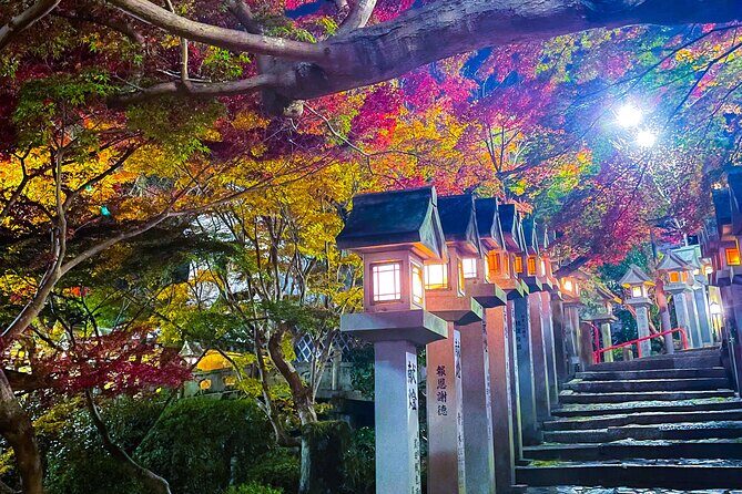 Hidden Gems of Osaka Kyoto Nara - Private Car Tour by Local Guide - Private Car Comfort Between Osaka, Kyoto, and Nara