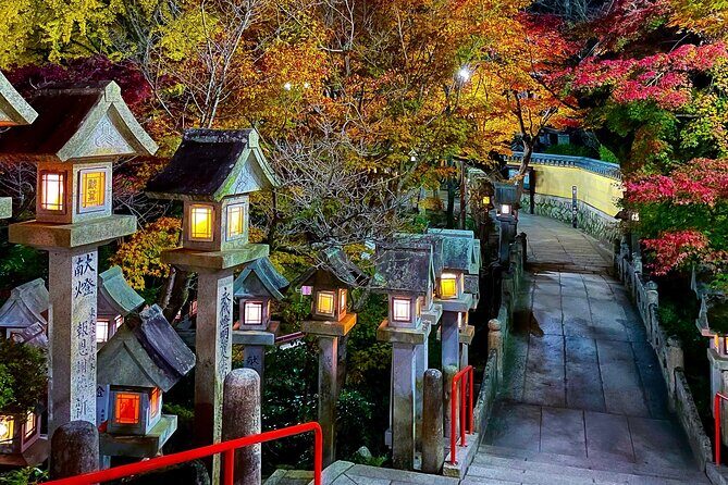Hidden Gems of Osaka Kyoto Nara - Private Car Tour by Local Guide - Shingisan Chogosonshiji: Lantern Light and Dreamy Mountain Temples