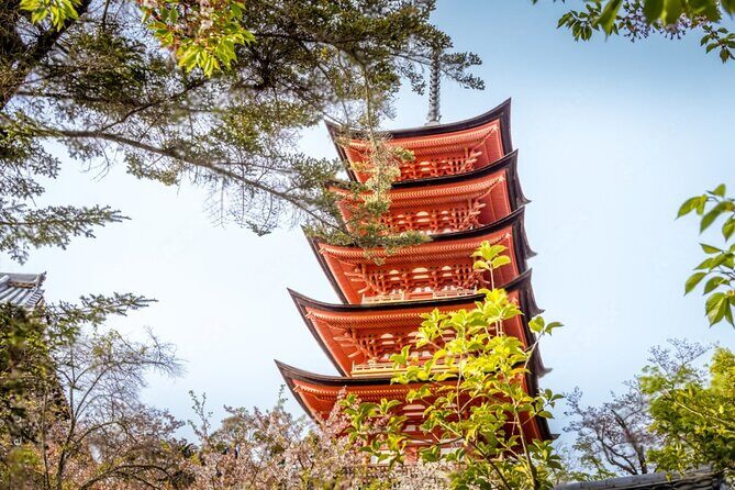 Hiroshima and Miyajima Private Tour with English Speaking Driver - The driver piece: English help, different styles, one key to success