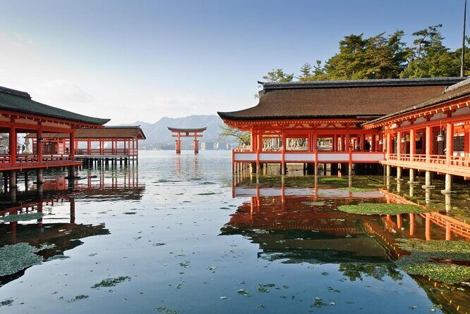 Hiroshima & Miyajima 1 Day Bus Tour with Bullet Train Tickets - Key things I’d bet on (before you book)