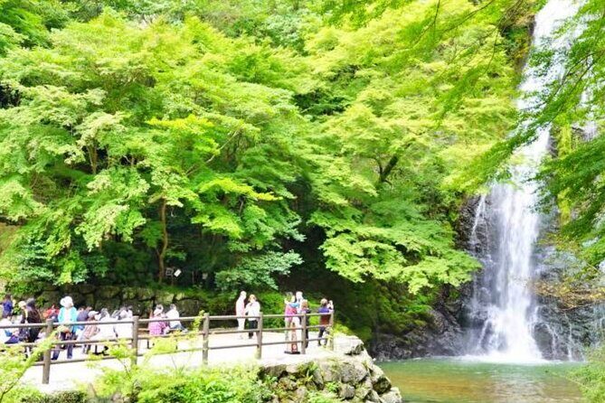 Katsuo-ji Temple, Arashiyama Forest, & Nara Park - Guide Style vs Self-Walking Time: What You’ll Actually Experience