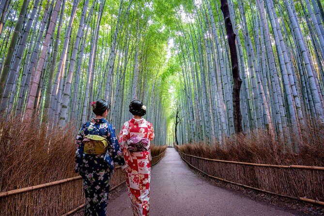 Katsuo-ji Temple, Arashiyama Forest, & Nara Park - Group Size, Comfort, and How Hard the Day Hits