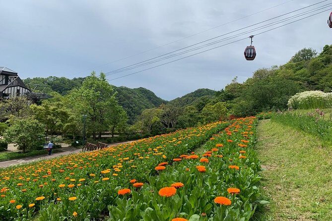 Kobe private tour from Osaka (Shore excursion available from Osaka or Kobe port) - Guides, Pace, and the Stuff That Makes or Breaks the Day