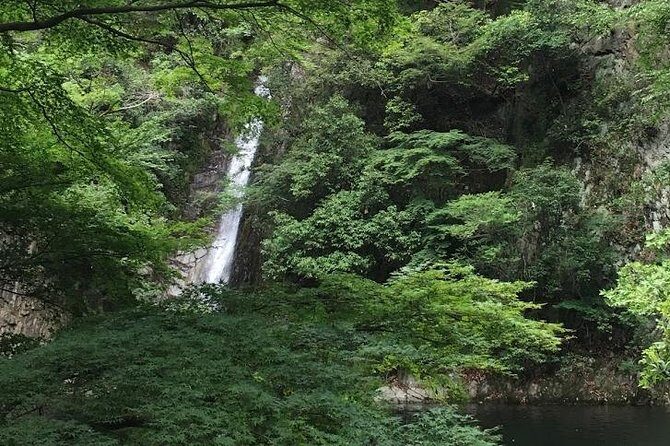 Kobe private tour from Osaka (Shore excursion available from Osaka or Kobe port) - Who Should Book This Kobe Private Tour (and Who Might Reconsider)