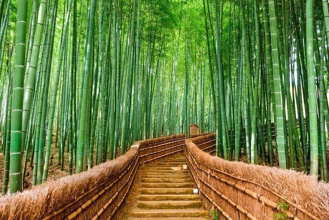 Kyoto Customized Private Car Tour - Key highlights worth planning around